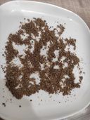 Отзывы о Mirrolla Шрот расторопши